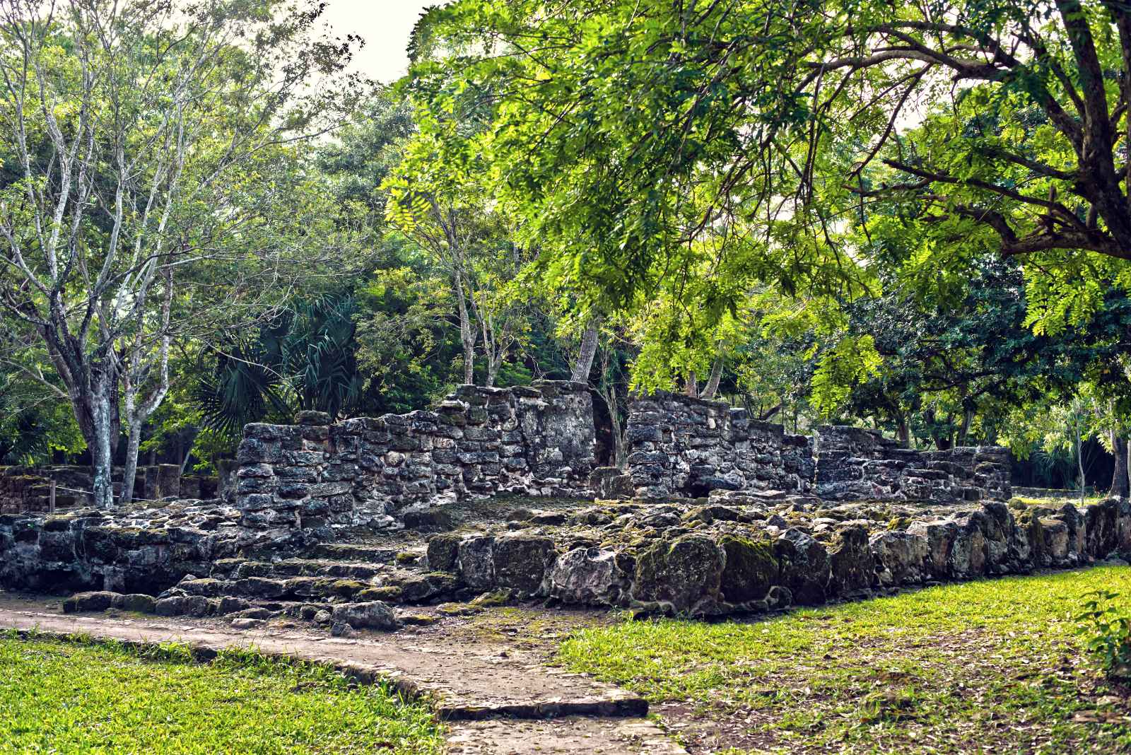 Best Things to do in Cozumel San Gervasio Archeological Site