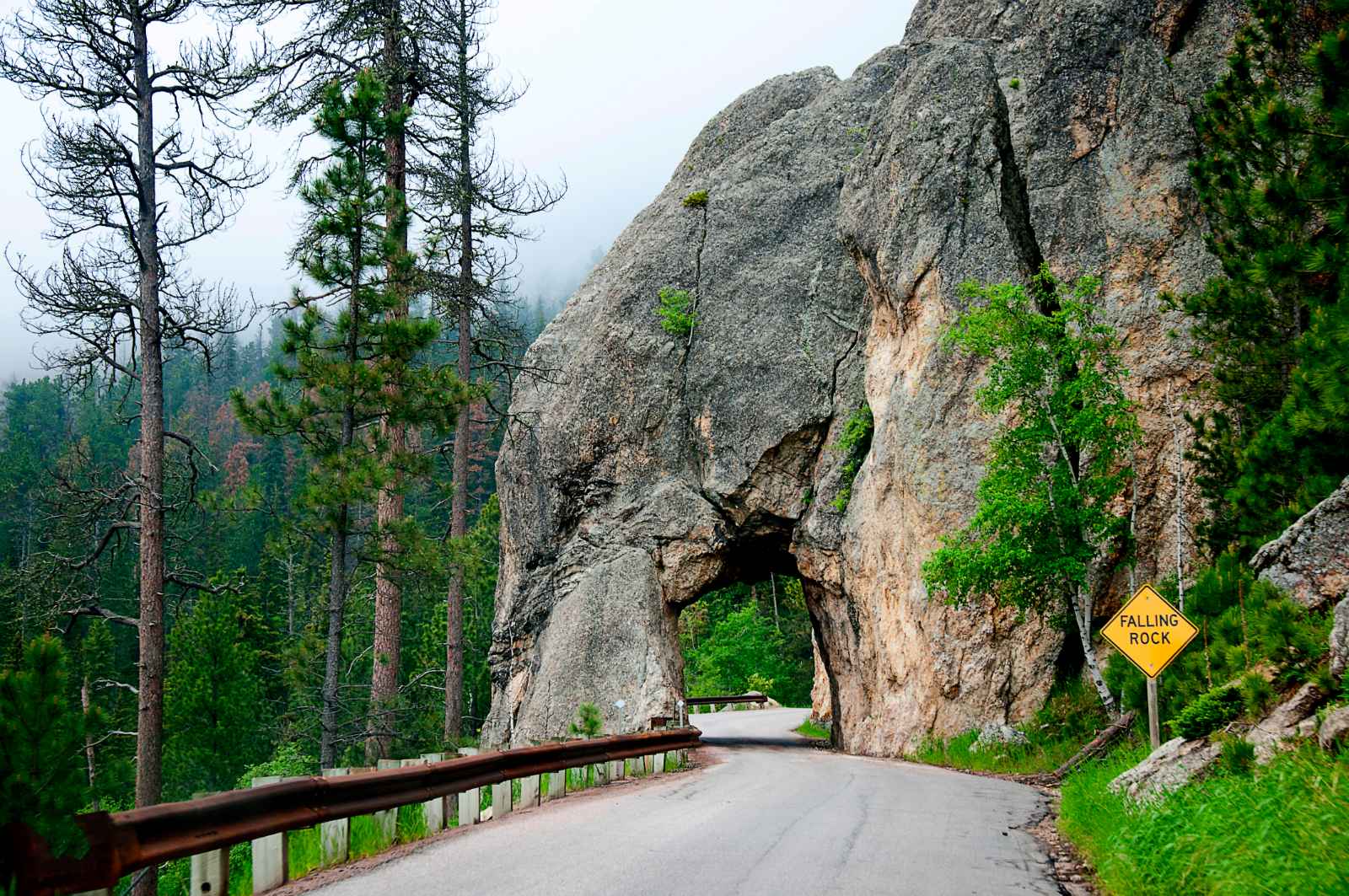 Best Things to do in Custer State Park Peter Norbeck Scenic Byway