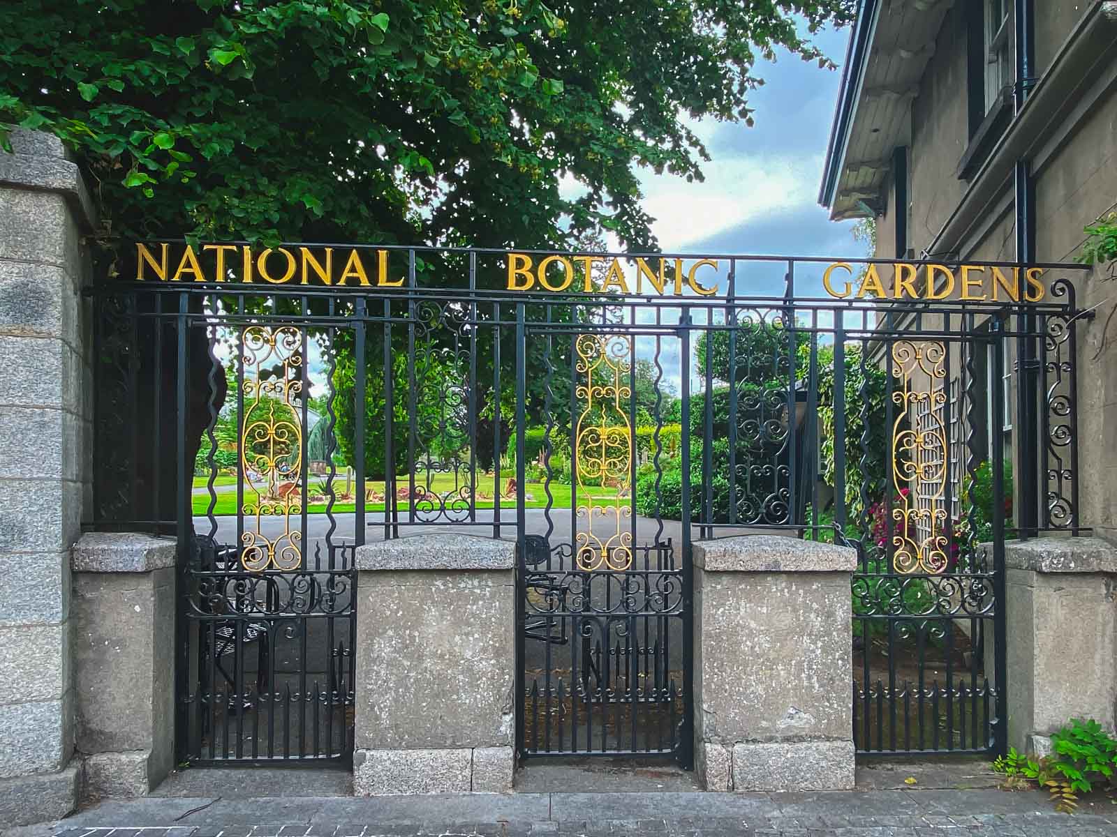 Best things to do in Dublin National Botanic Gardens