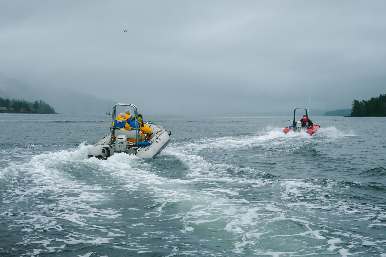 Things to do in Ketchikan Alaska Zodiac Adventure