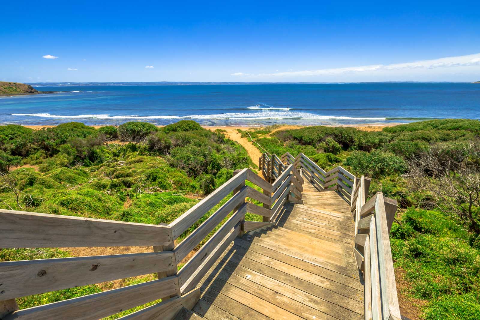 Best things to do in Melbourne Phillip Island