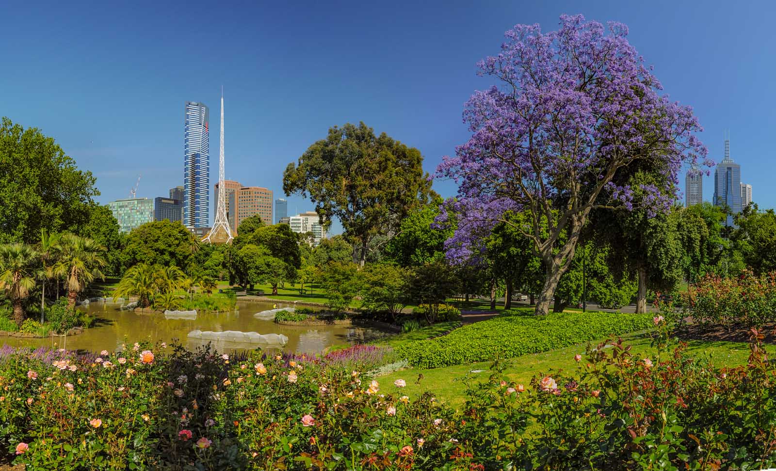 Best things to do in Melbourne Royal Botanic Garden