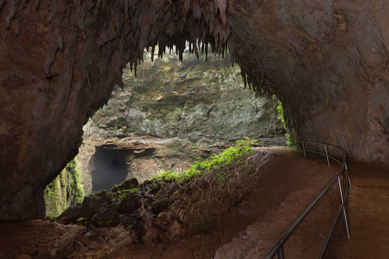 Fun things to do in puerto Rico Camuy Caverns Park