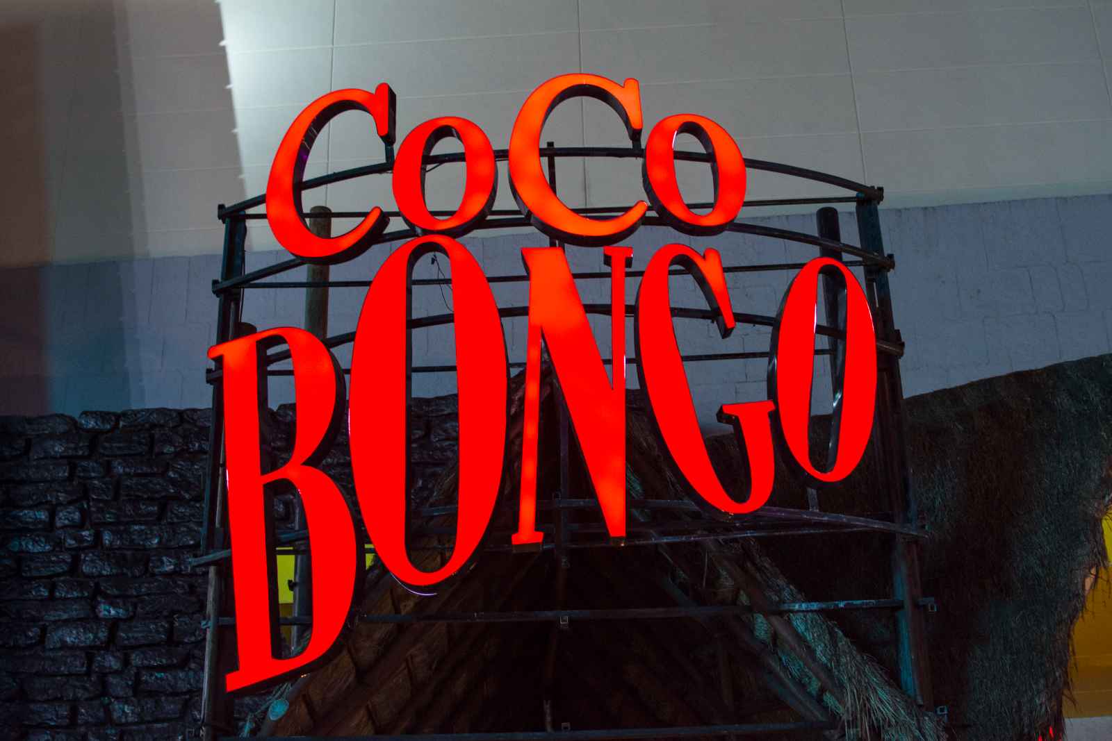 Best Things to do in Punta Cana Coco Bongo