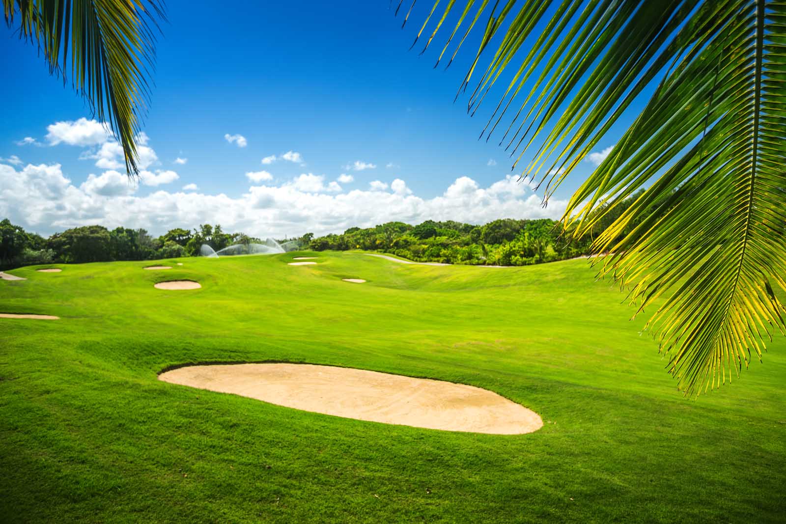 Best Things to do in Punta Cana Punta Espada Golf course