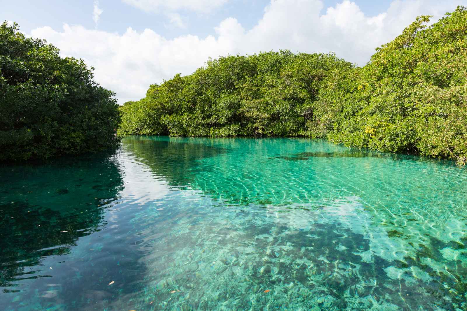 what s to do in Tulum Mexico Casa Cenote