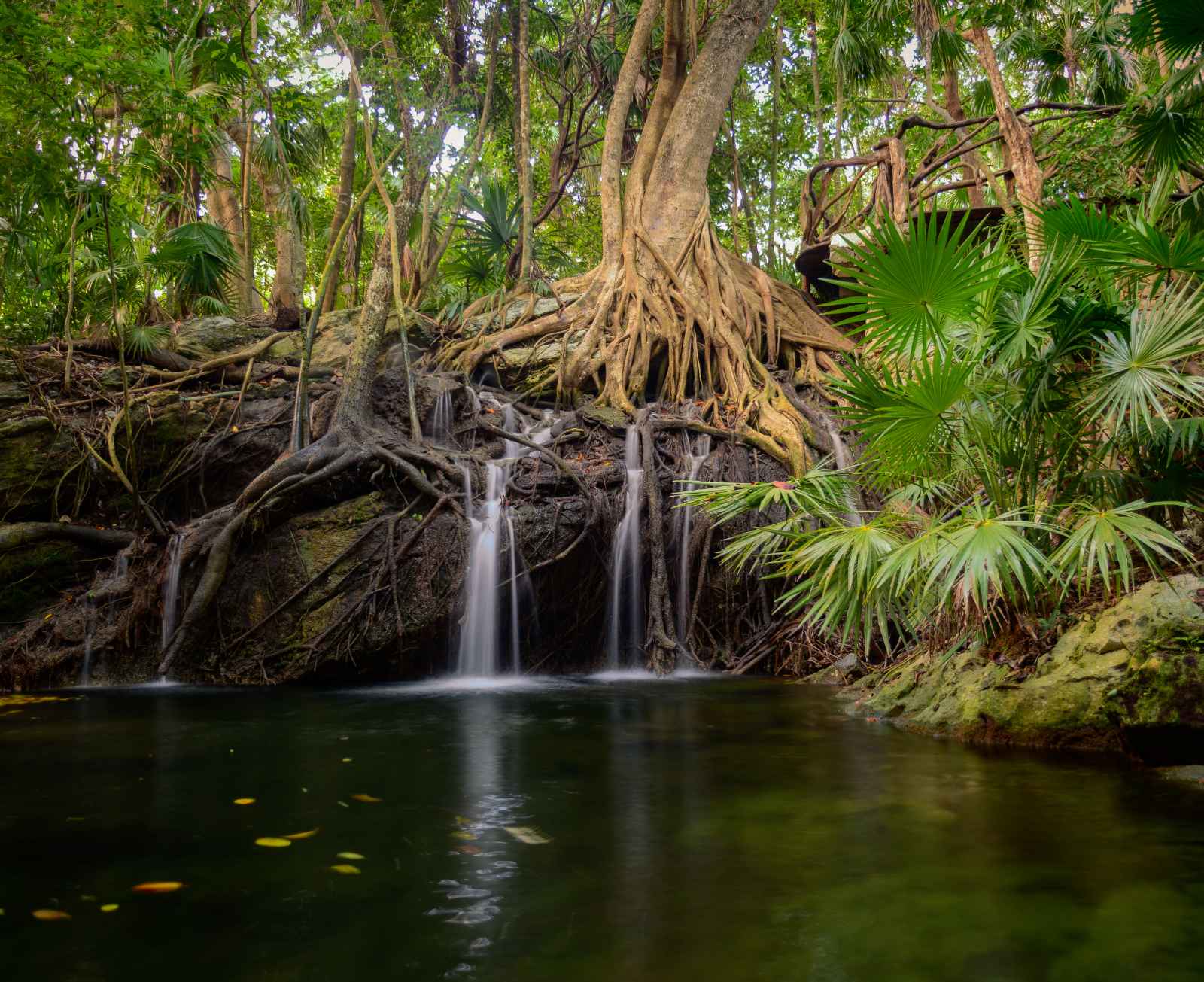 what to do in Tulum Mexico Parque Nacional Tulum