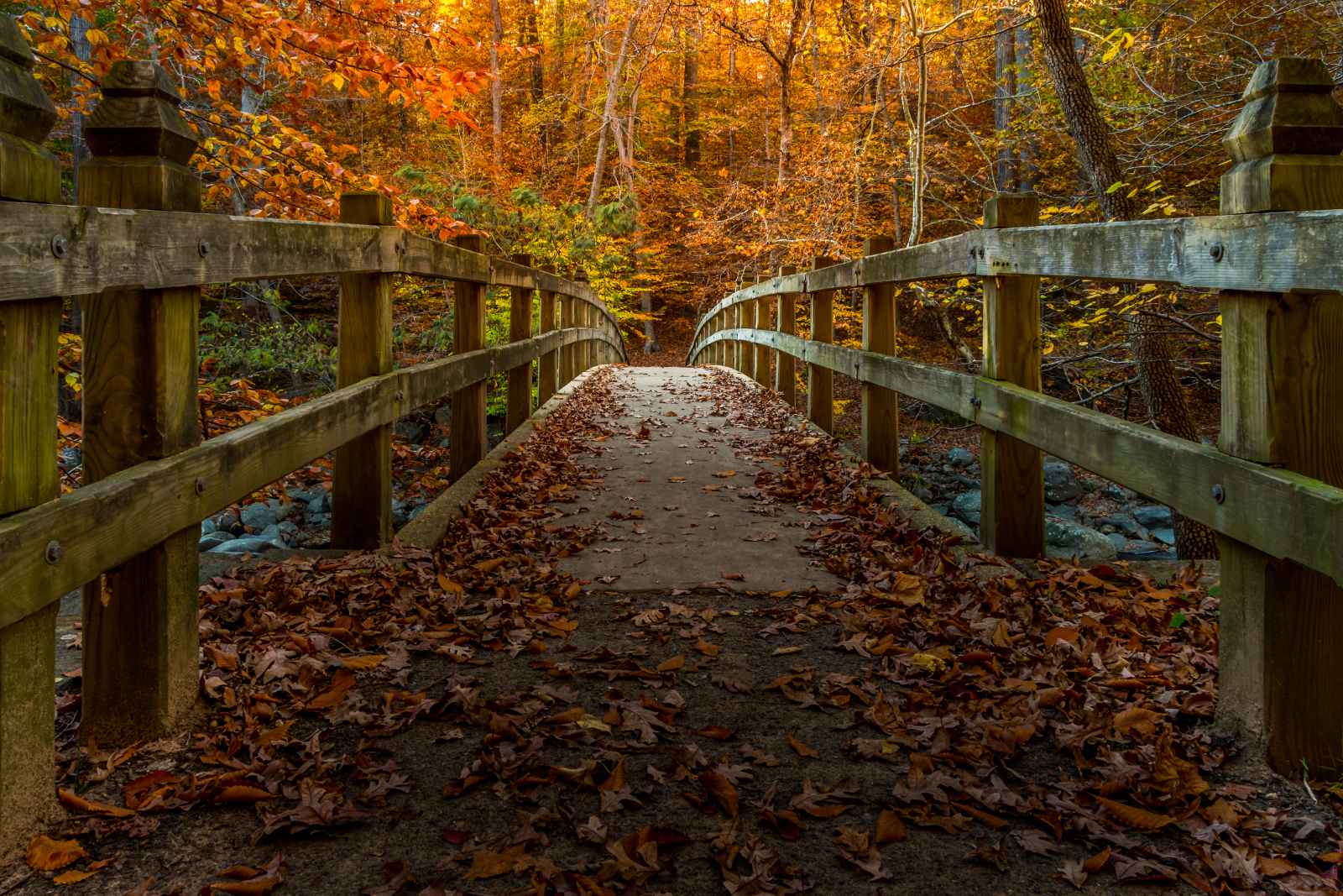 Best Things to do in Washington DC Rock Creek Park