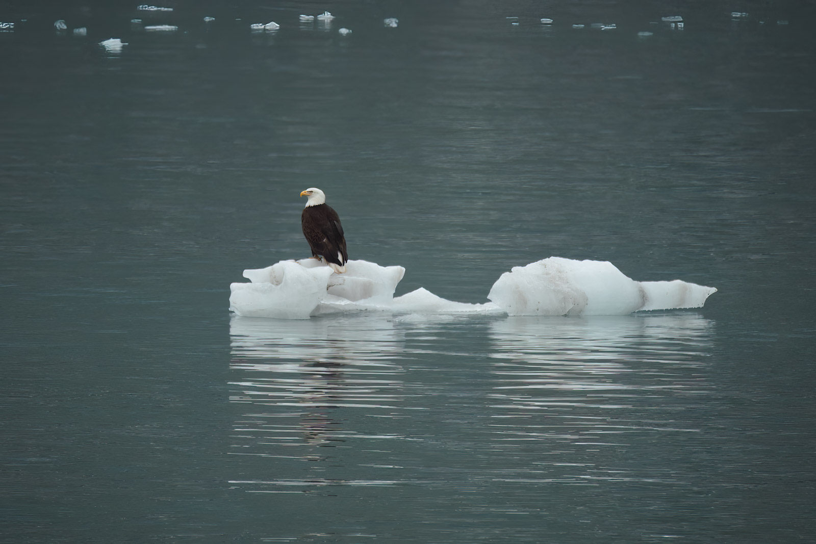 Best Things to do in Alaska Wrangell-St. Elias National Park and Preserve