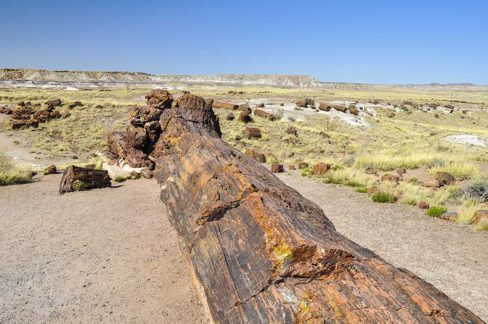 Best Things to do in Arizona Petrified Forest National Park