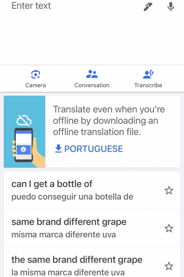 Best App for Travel Google Translate