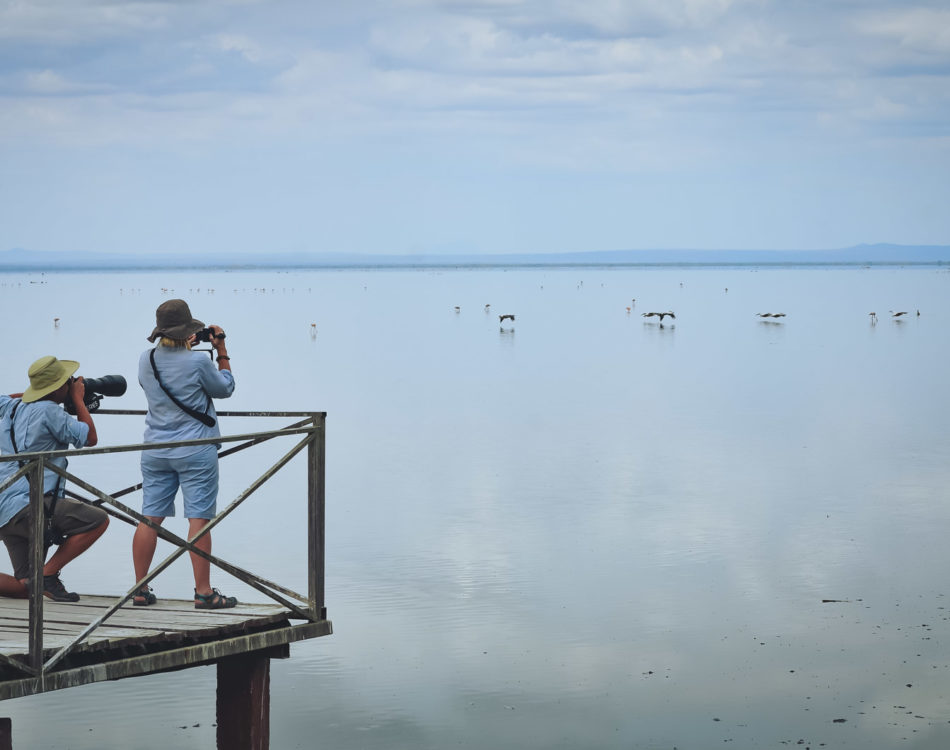 The Best Travel Gear and Travel accessories