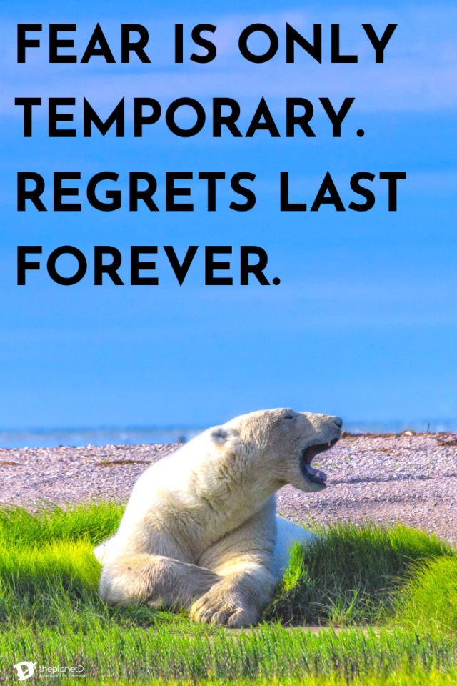 best quotes for motivation | fear is only temporary, regrets last forever