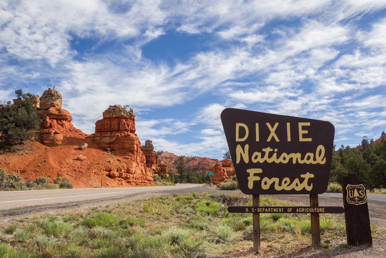 Best Day Trips from Las Vegas Dixie National Forest