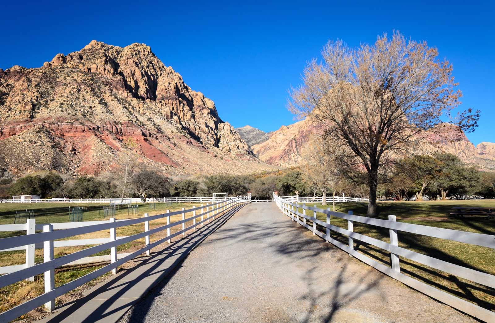 Best Day Trips from Las Vegas Spring Mountain Ranch State Park