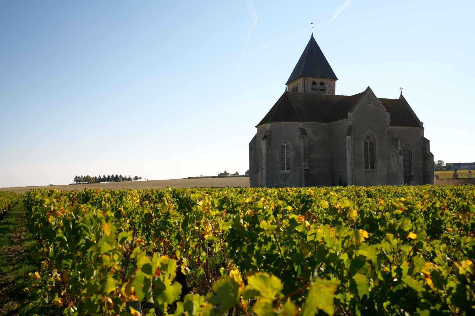 Best day trips from paris Chablis