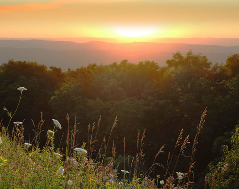 12 Best Hikes in Shenandoah National Park