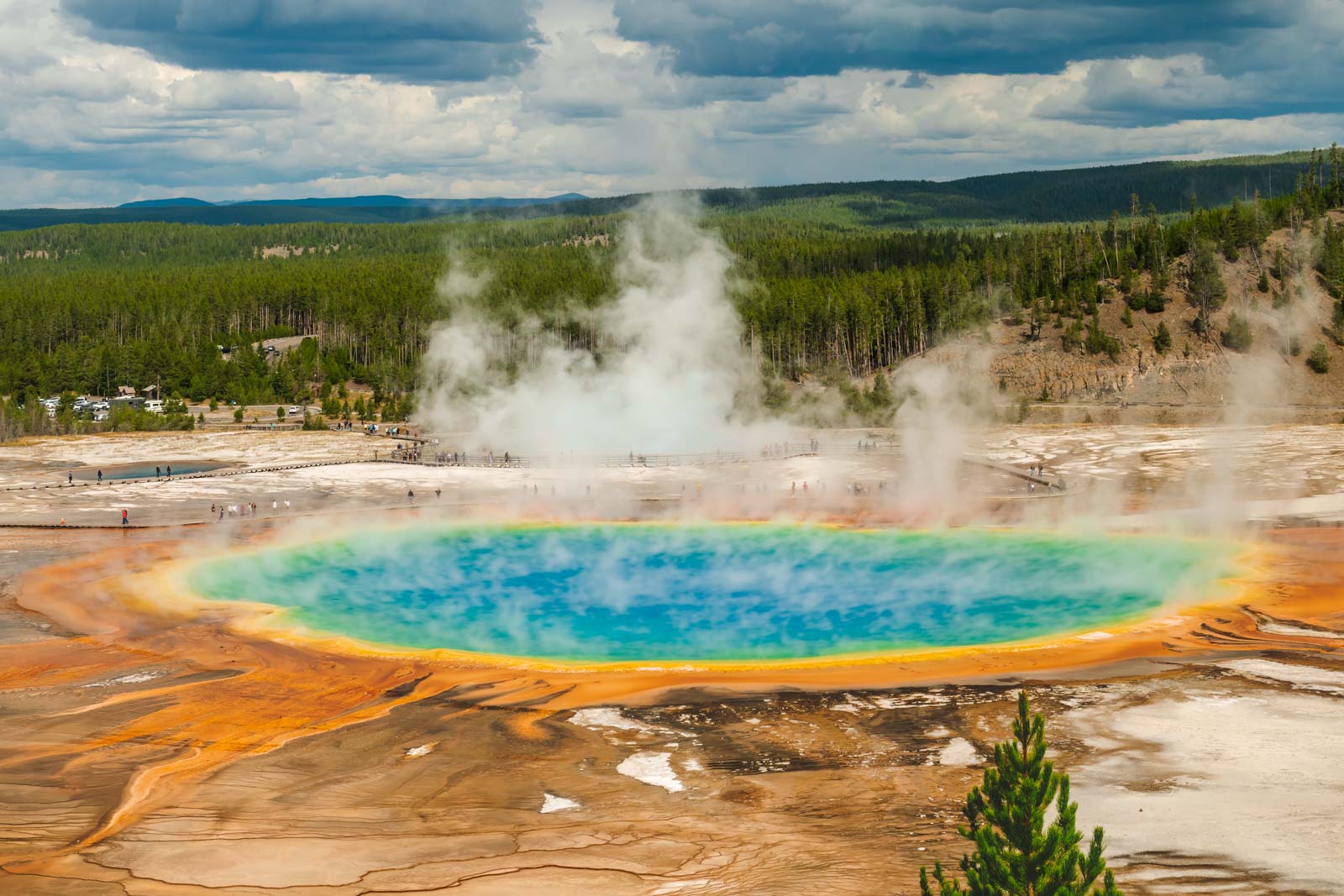 Geothermal wonders in Yellowstone National Park
