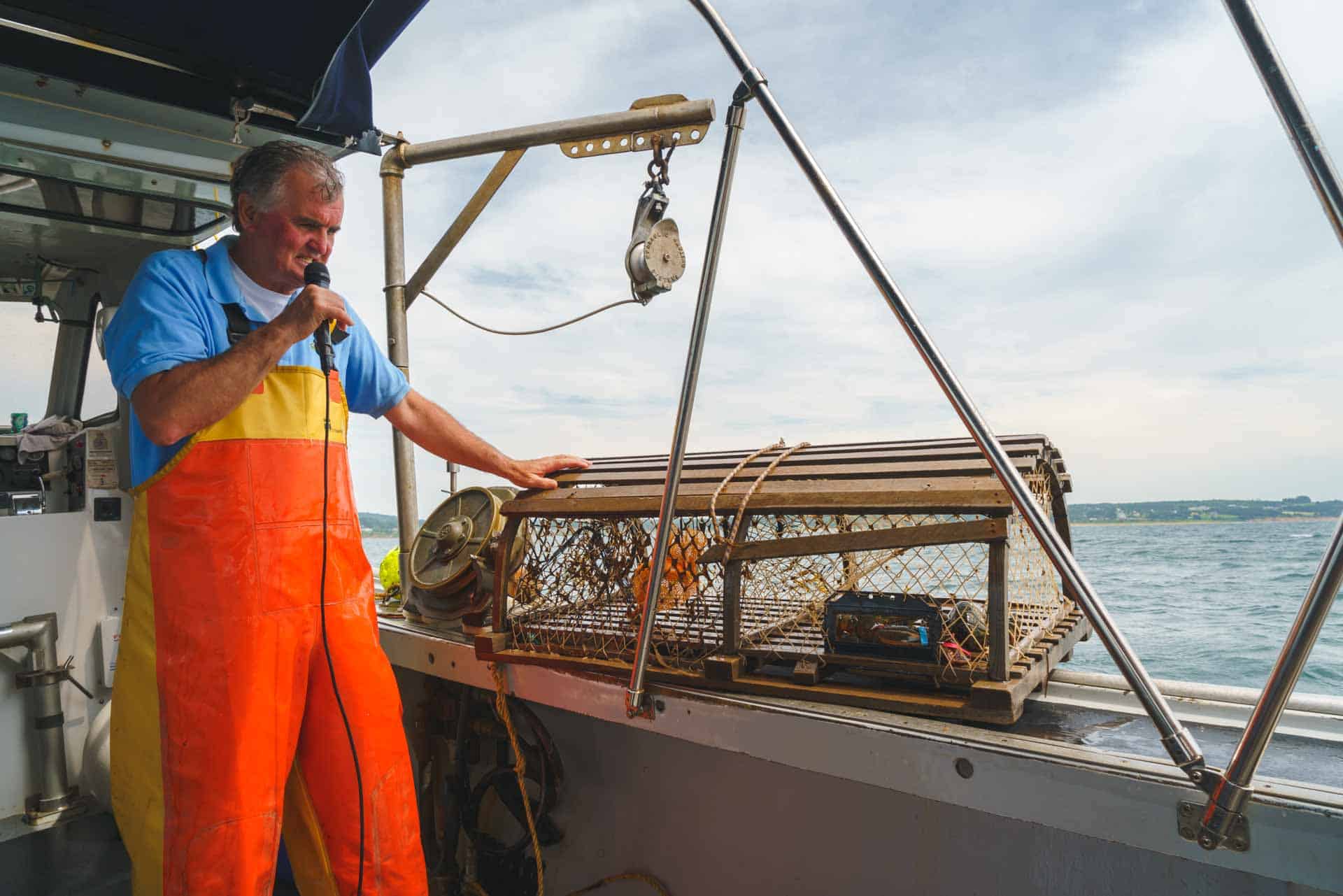 Go on a Lobster Safari in Nova Scotia