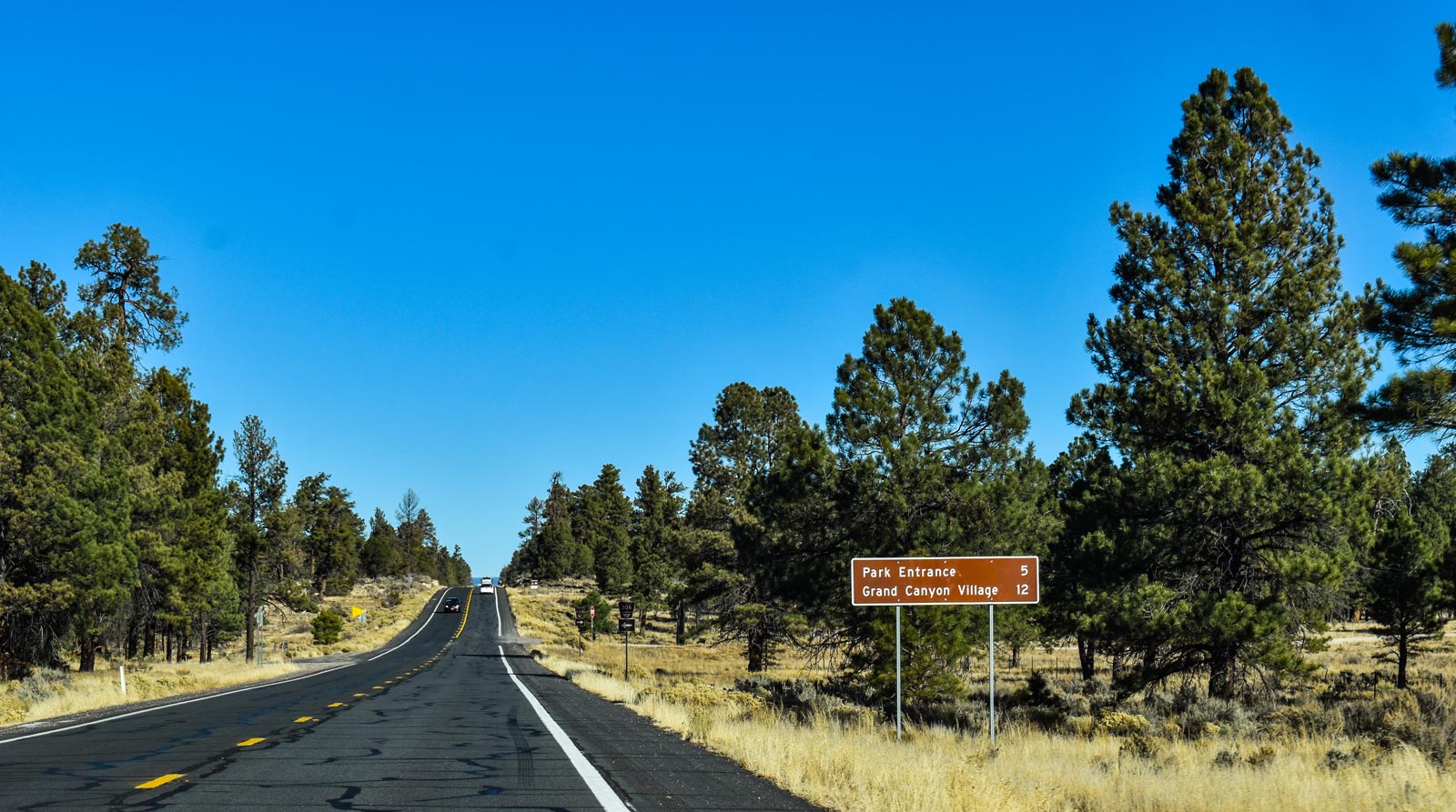 Best things to do at the Grand Canyon Scenic Drives