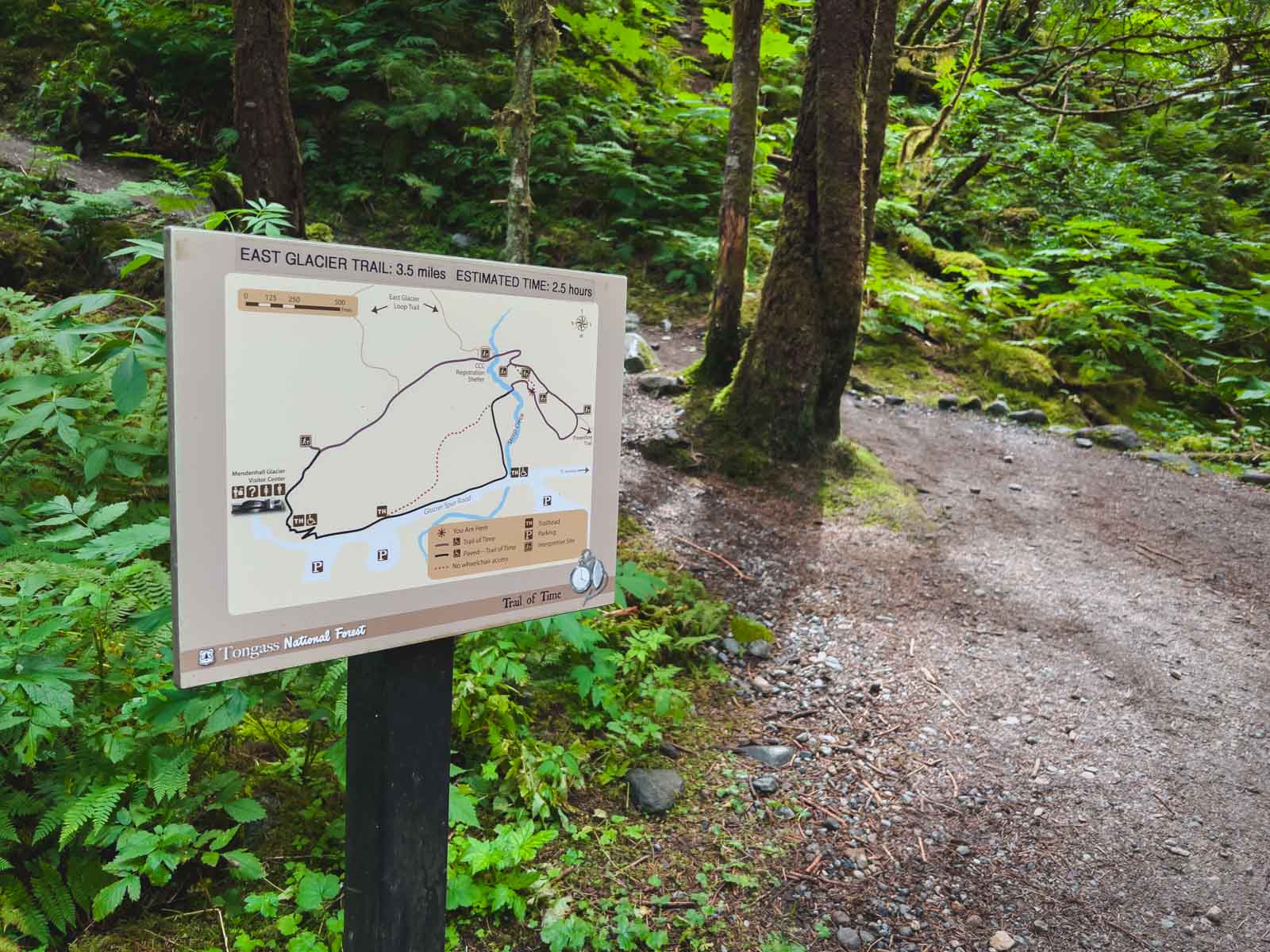 Best Things to do in Alaska Hike in Tongass National Forest