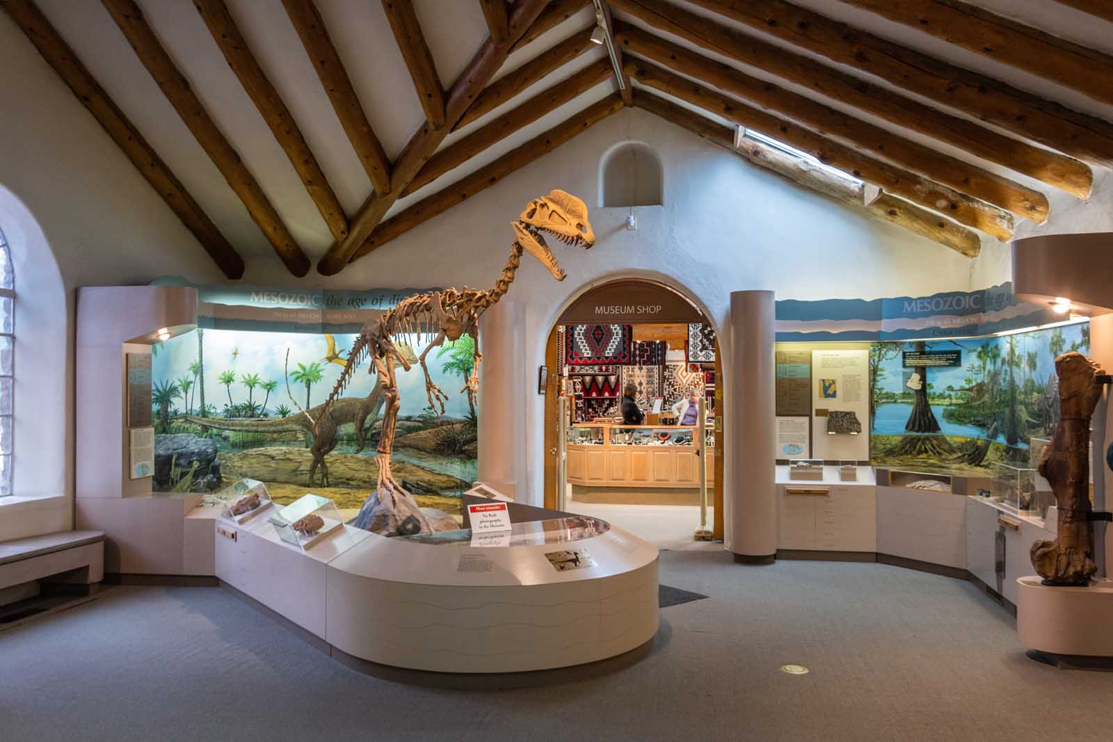 Best things to do in Arizona Museum of Northern Arizona