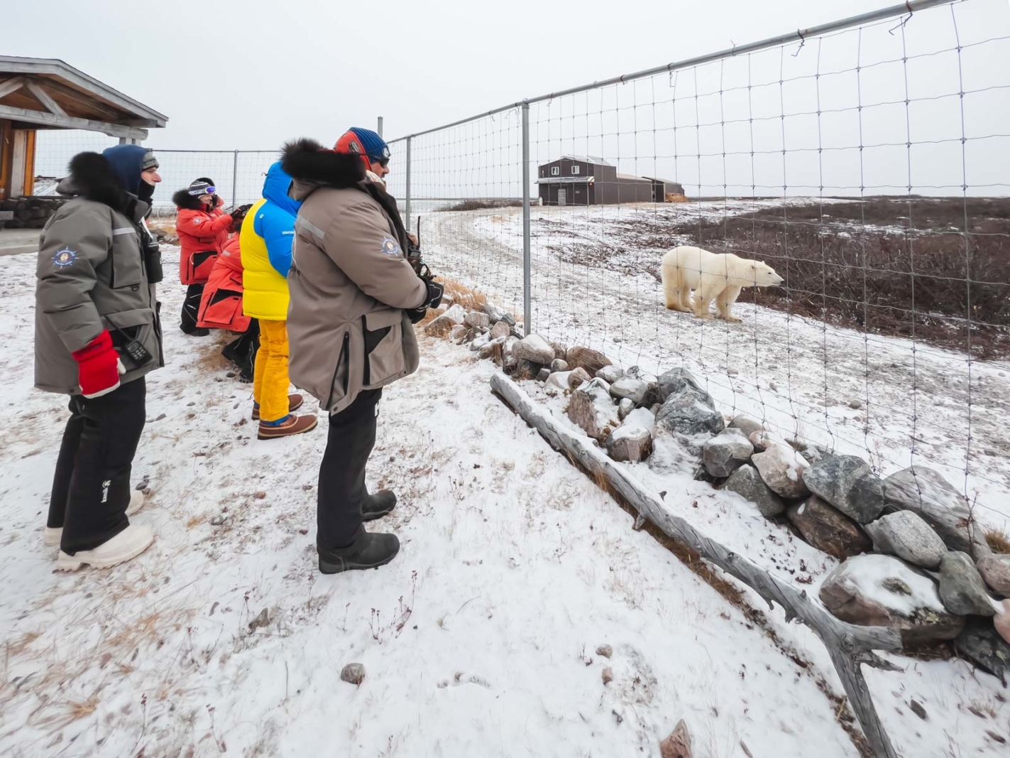 things to do in churchill seal river heritage lodge