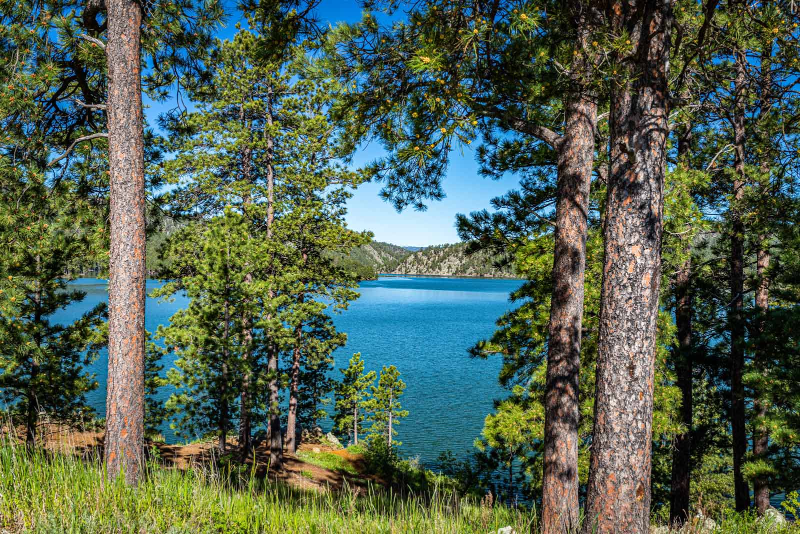 Best things to do in Custer State Park Center Lake