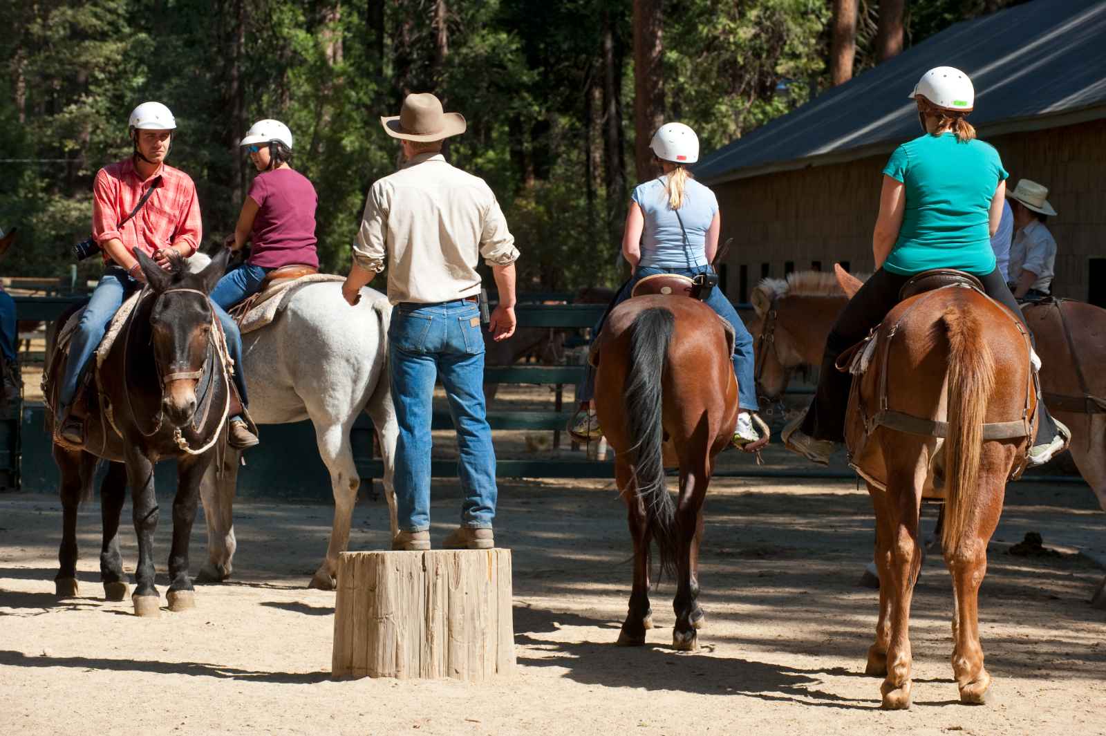 Best things to do in Hollywood California Sunset Ranch Hollywood