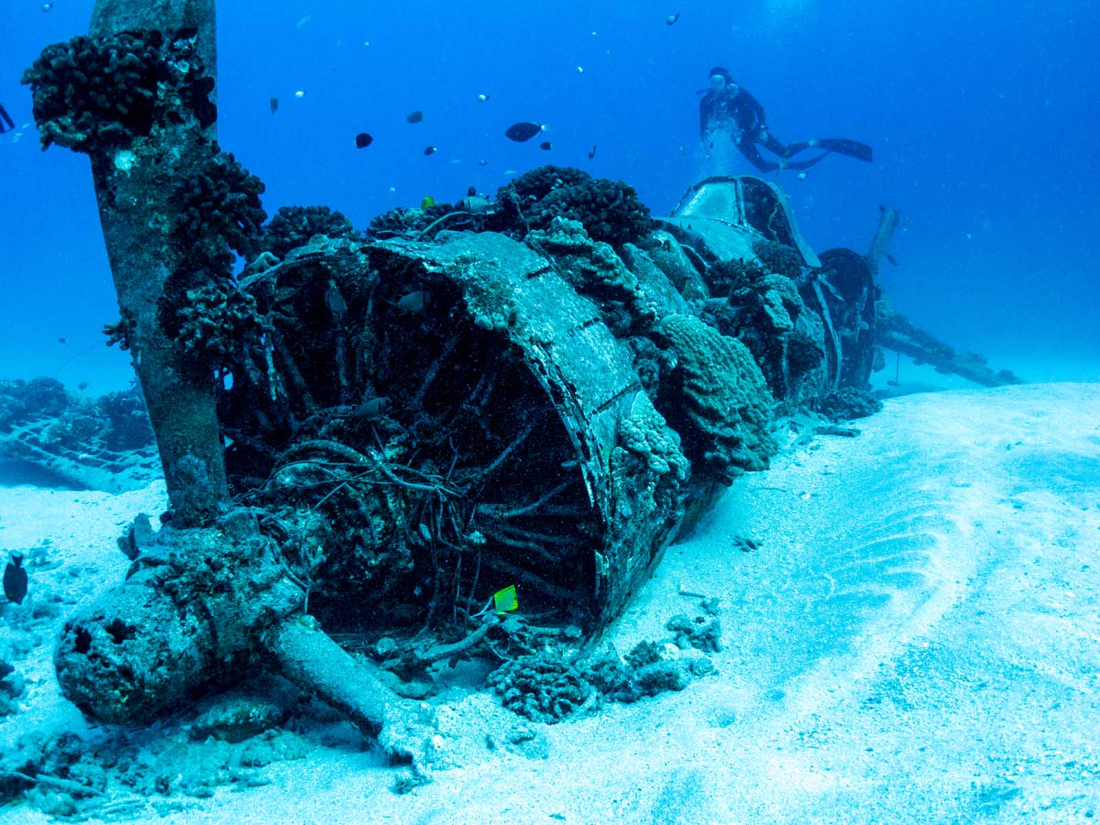 Best things to do in Honolulu Corsair Wreck Dive Site