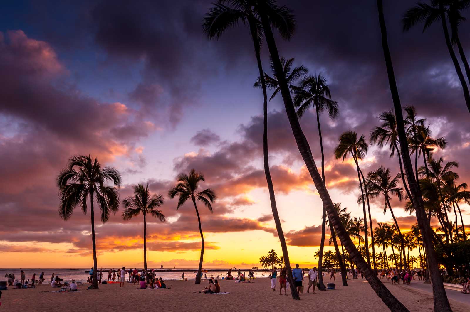 Best things to do in Honolulu Hawaii