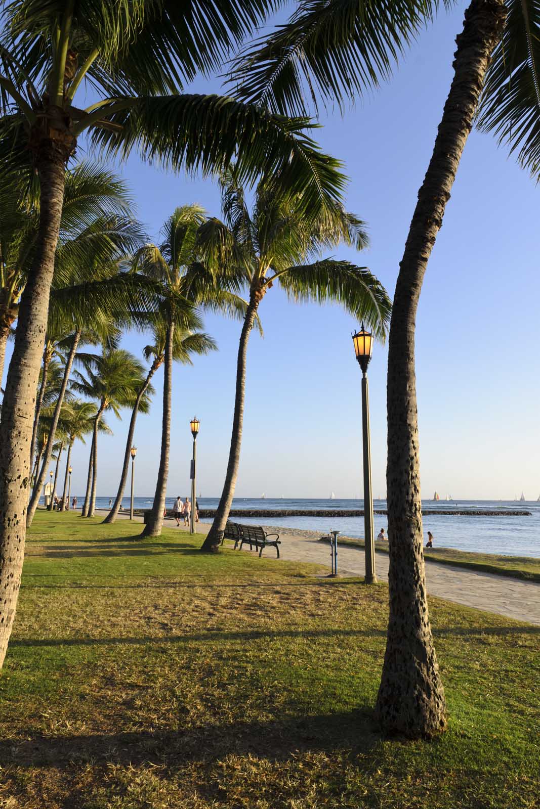 Best things to do in Honolulu Sans Souci State Park
