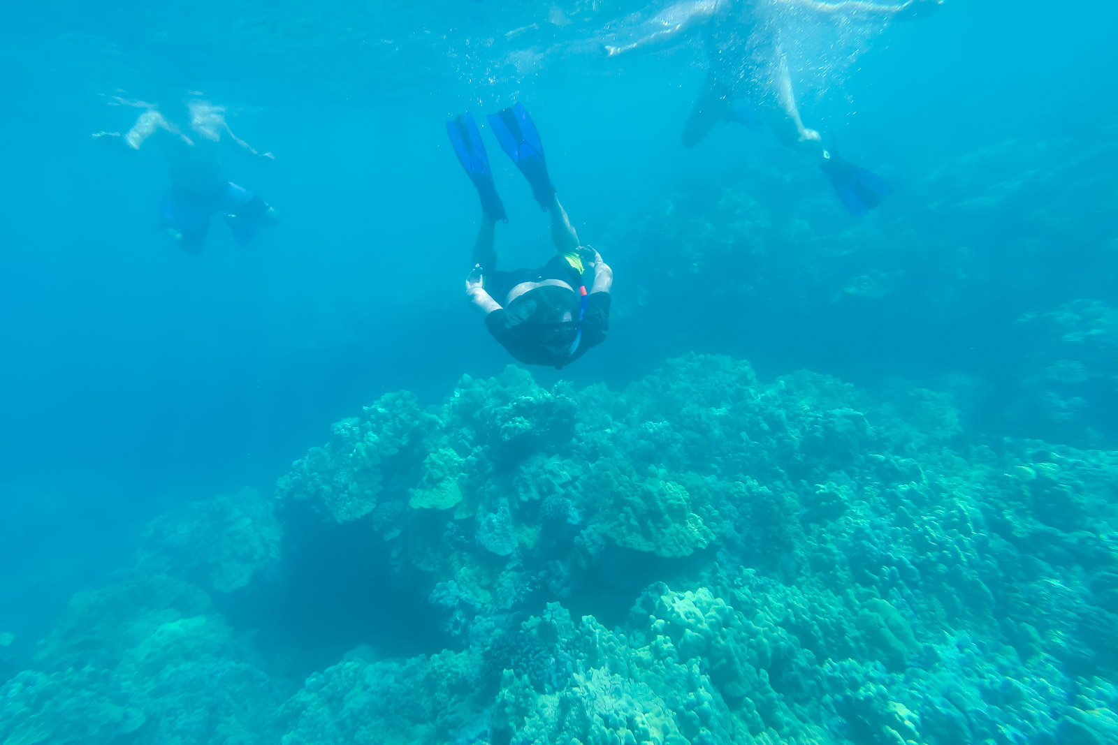 Best things to do in Honolulu Snorkeling