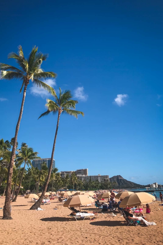 Best things to do in Honolulu Waikiki Beach