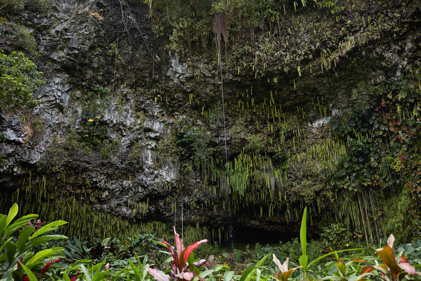 Best things to do in Kauai Fern Grotto