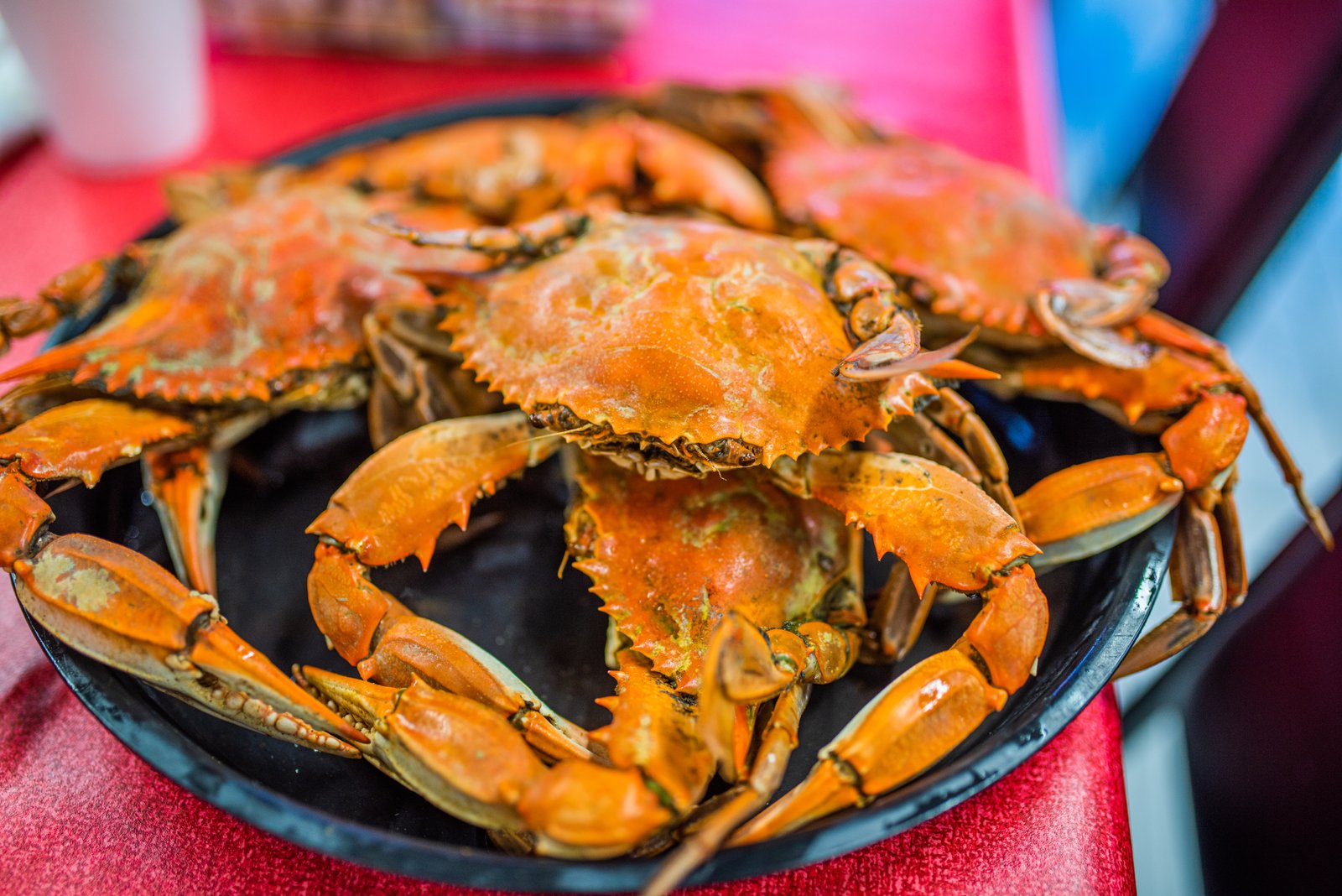 Best things to do in Lake Charles LA southern Cooking