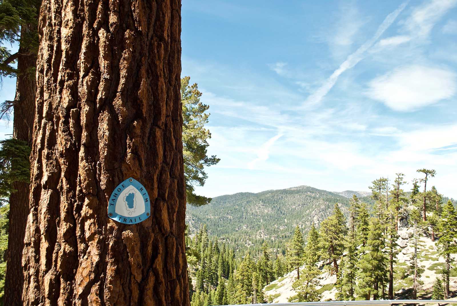 Best Things to do in Lake Tahoe National Forest Hikes