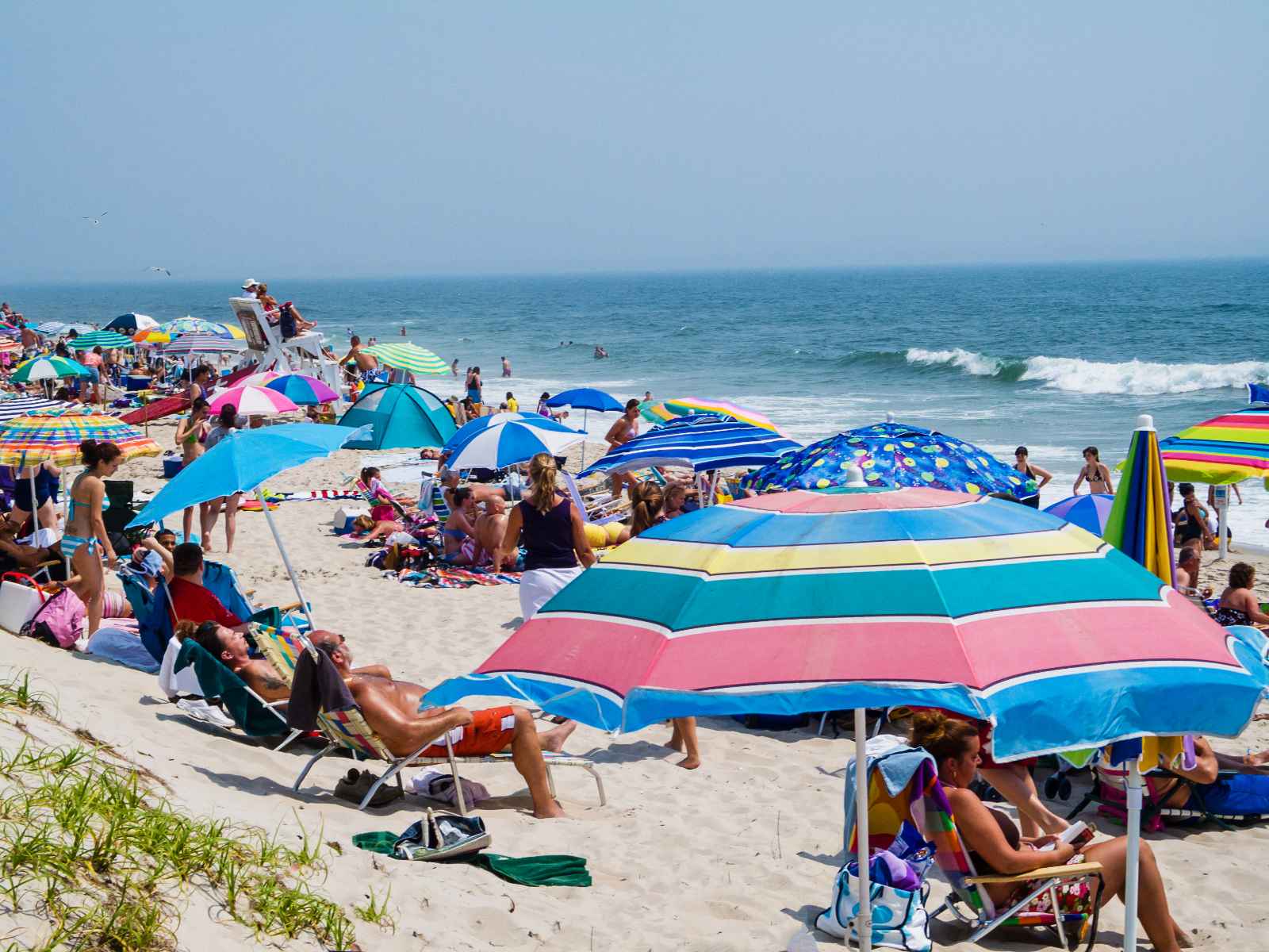Best things to do in New Jersey Island Beach State Park