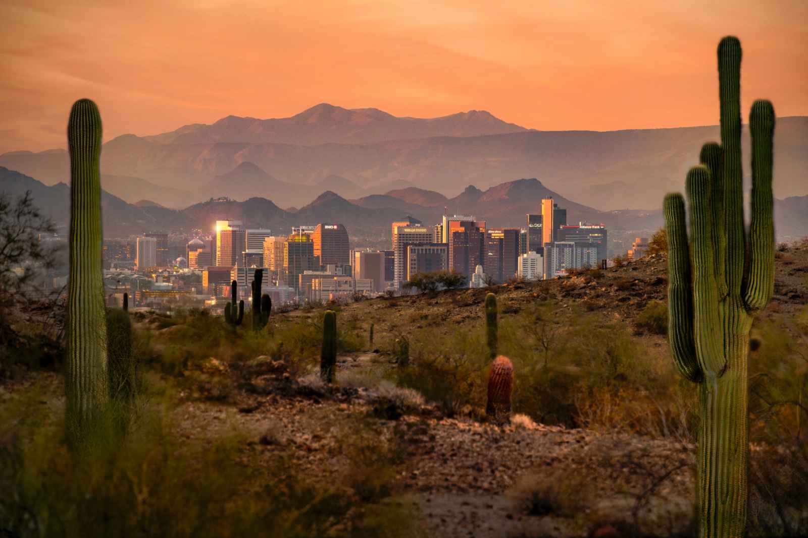 Best things to do in Phoenix South Mountain Park and Preserve