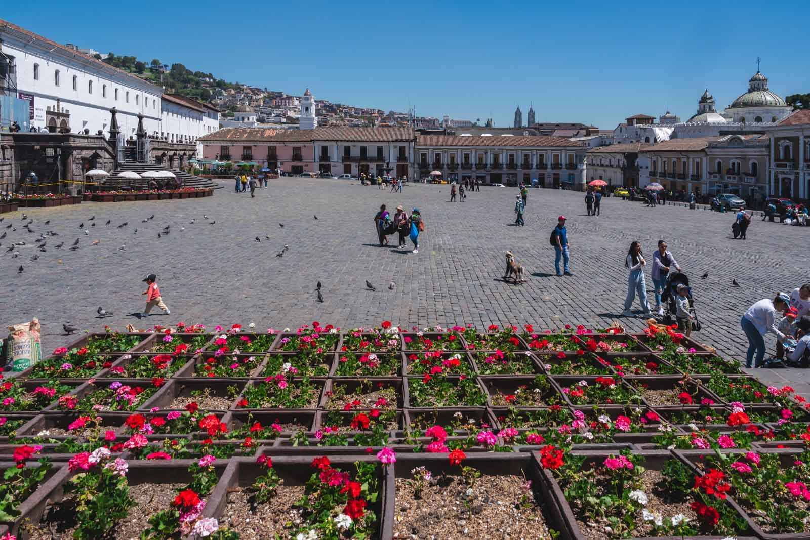 Things to do in Quito Central Market
