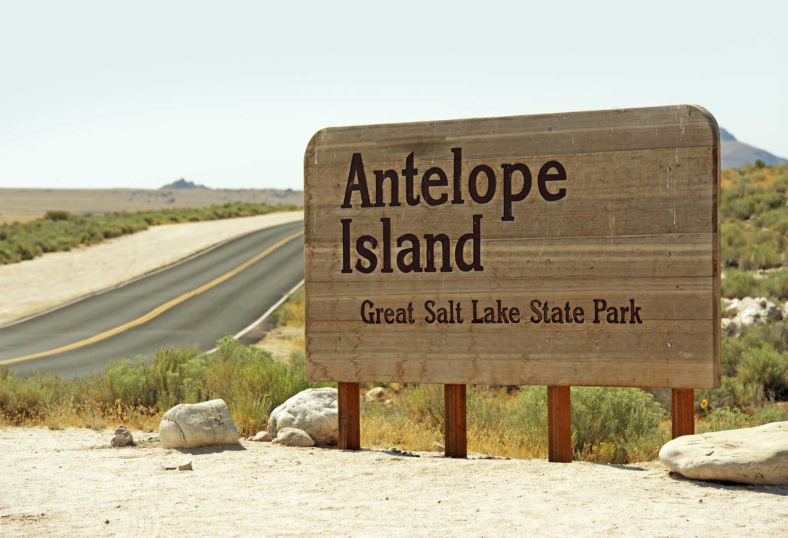 Best Things to do in Salt Lake City Antelope Island