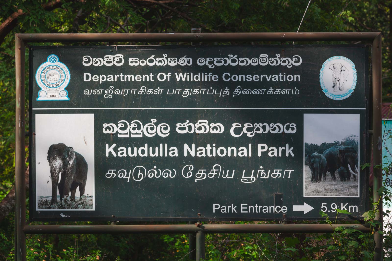 Best things to do in Sri Lanka Kaudulla National park