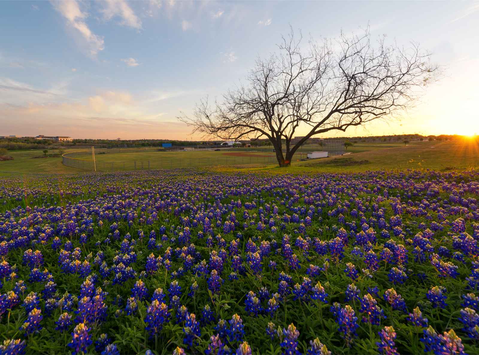 Best things to do in Texas Tips and Information For Visiting Texas