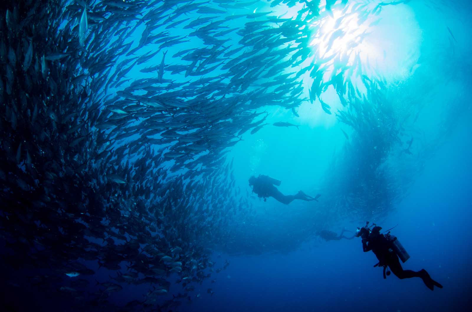 what to do in Tulum Mexico Scuba diving