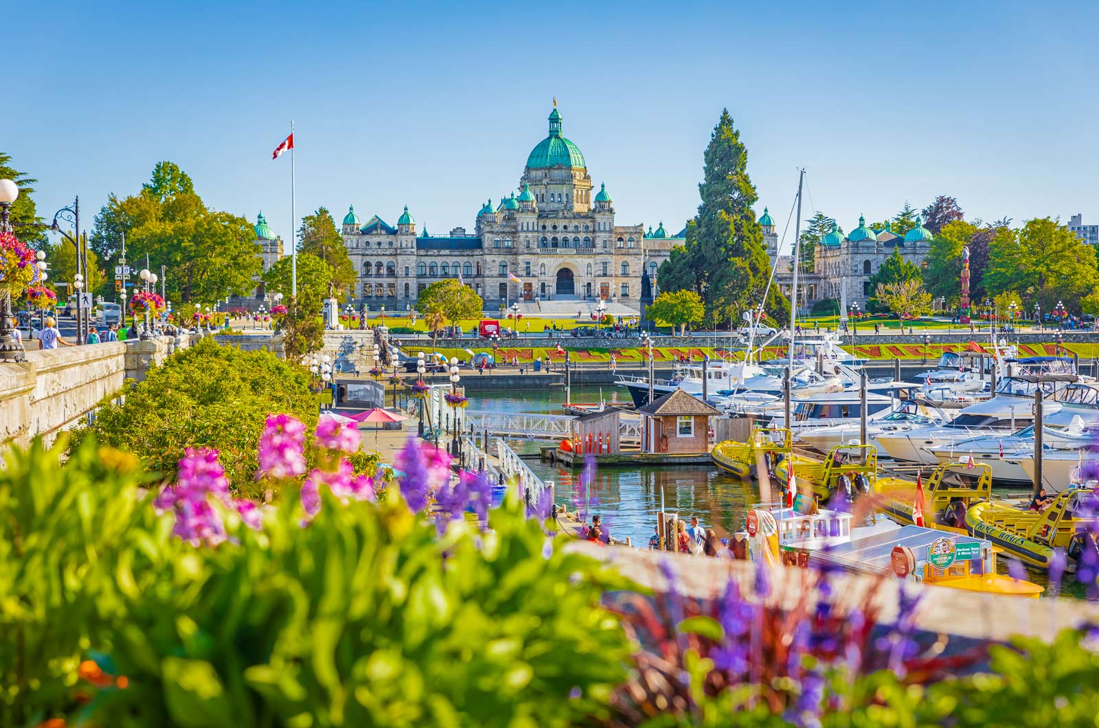 Best things to do in Victoria BC this year