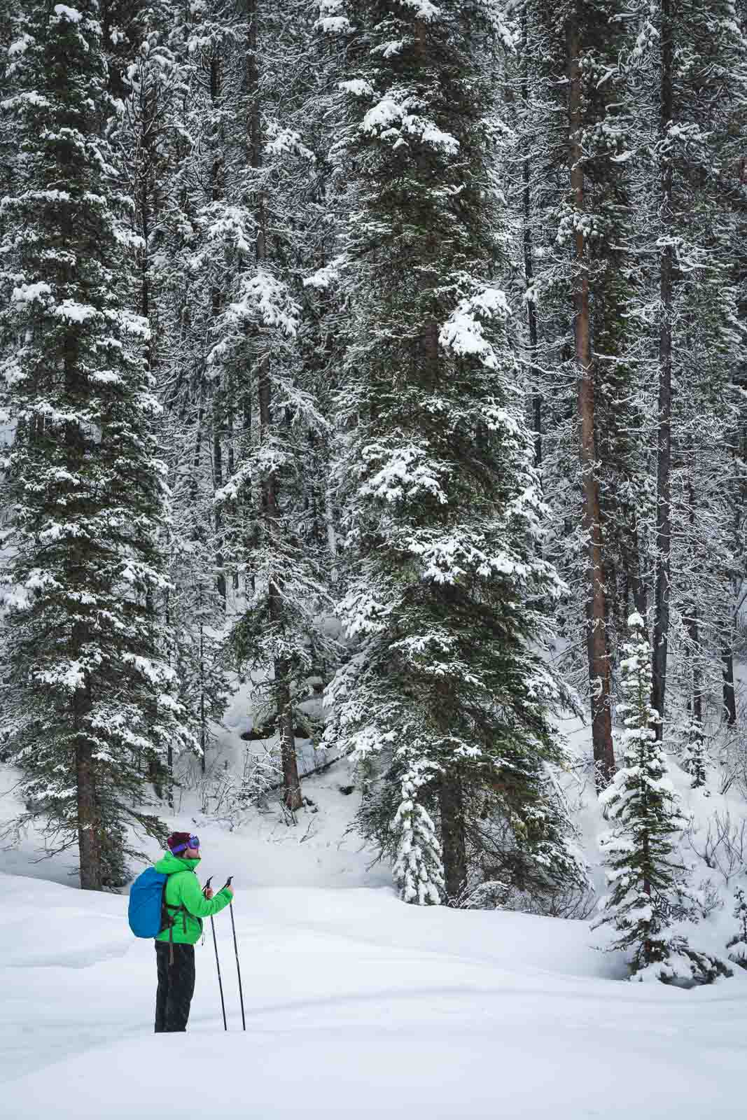 30 Awesome Things to Do in Whistler, BC The D