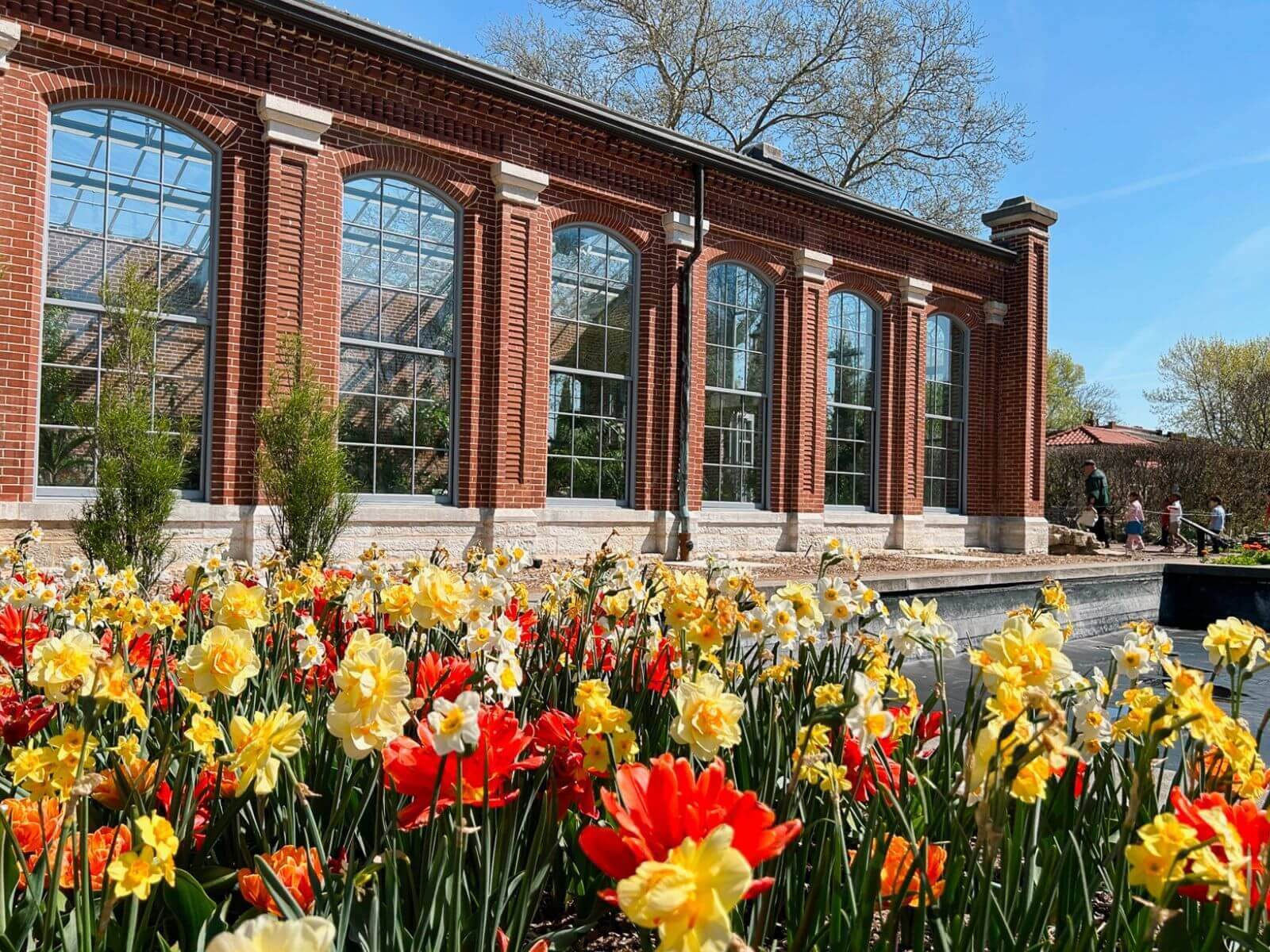 Best Things to do in St. Louis Missouri Botanical Gardens