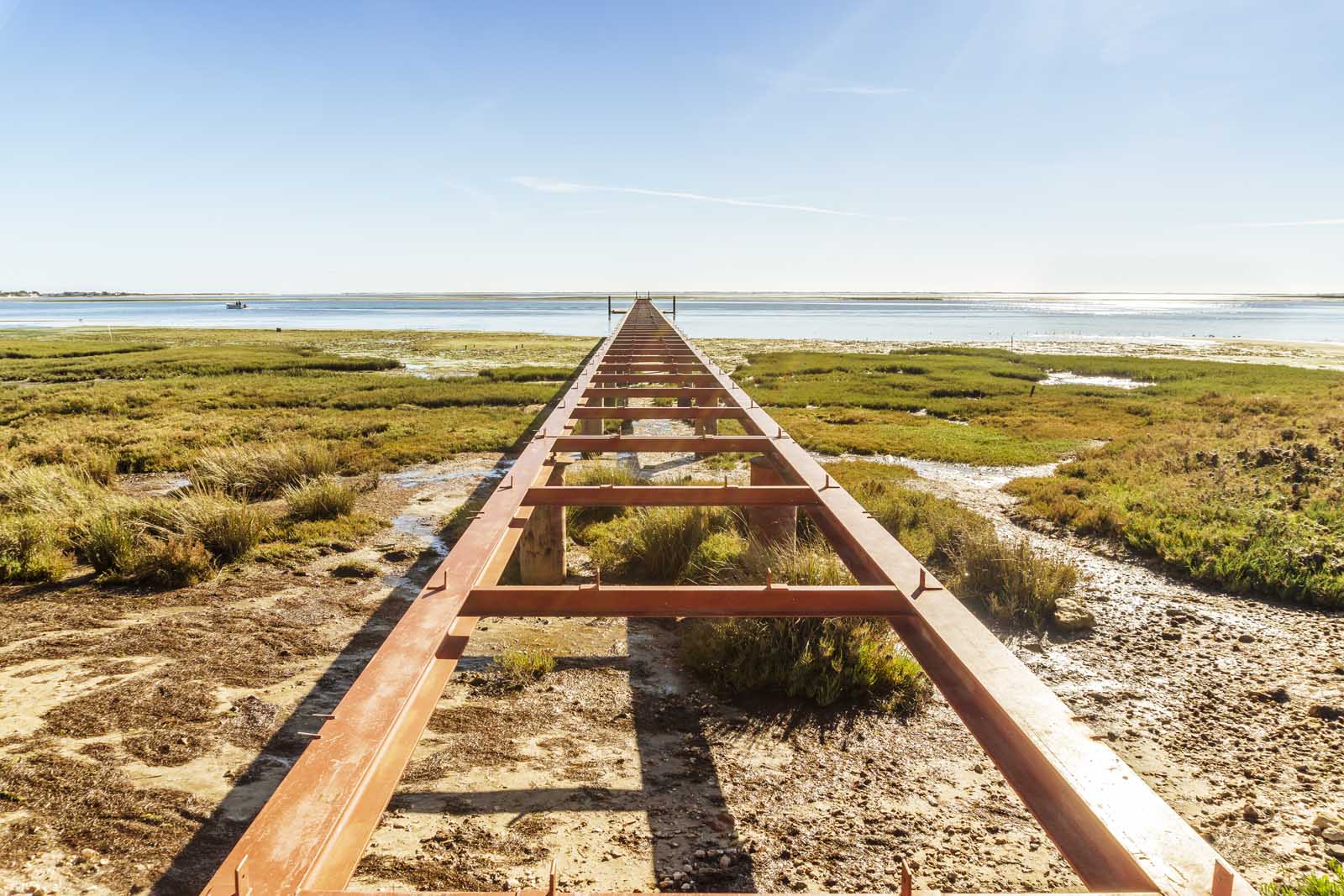 Best things to do in the Algarve Ria Formosa Natural Park