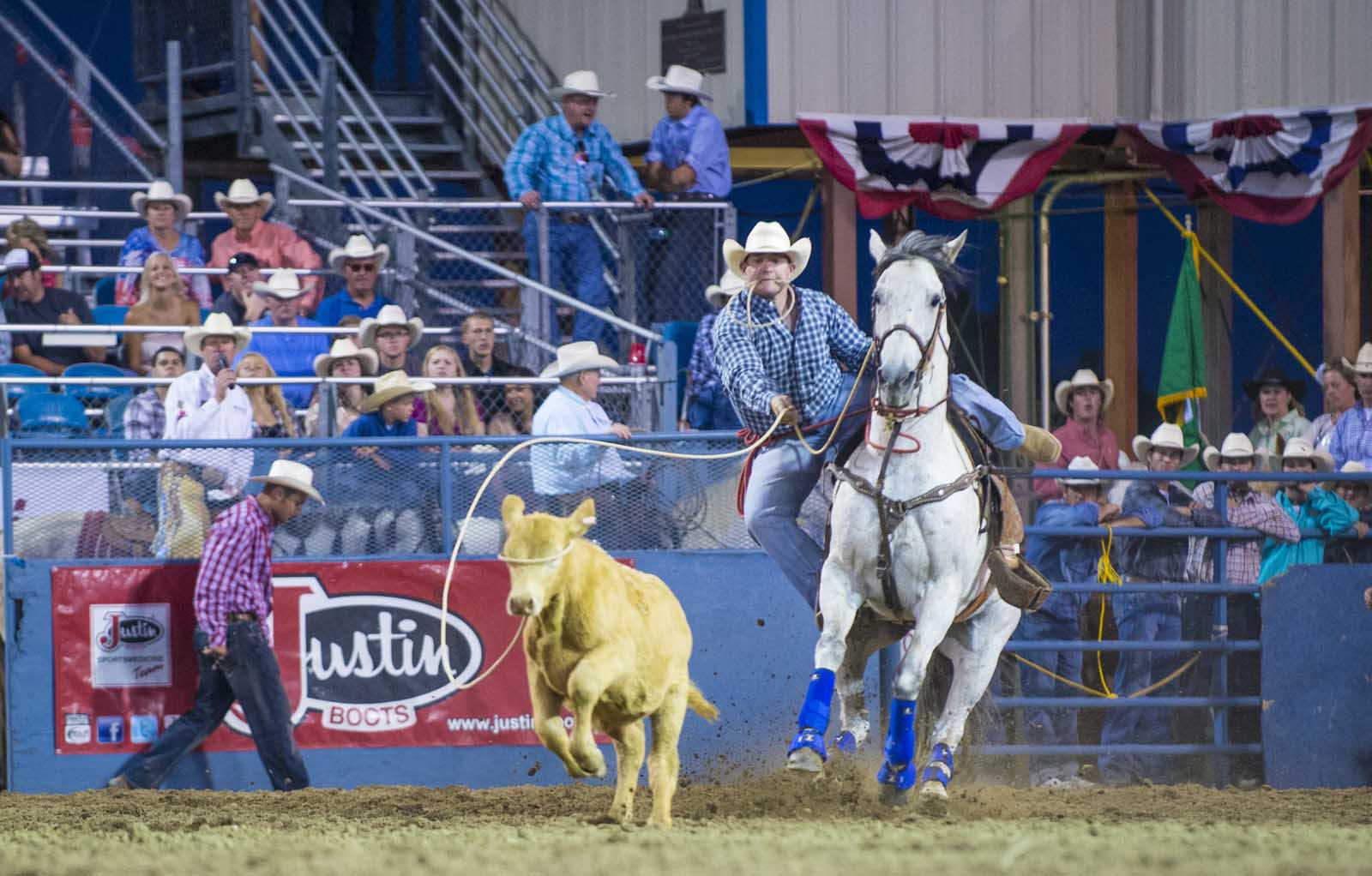 Best Things to do in Reno Nevada Rodeo
