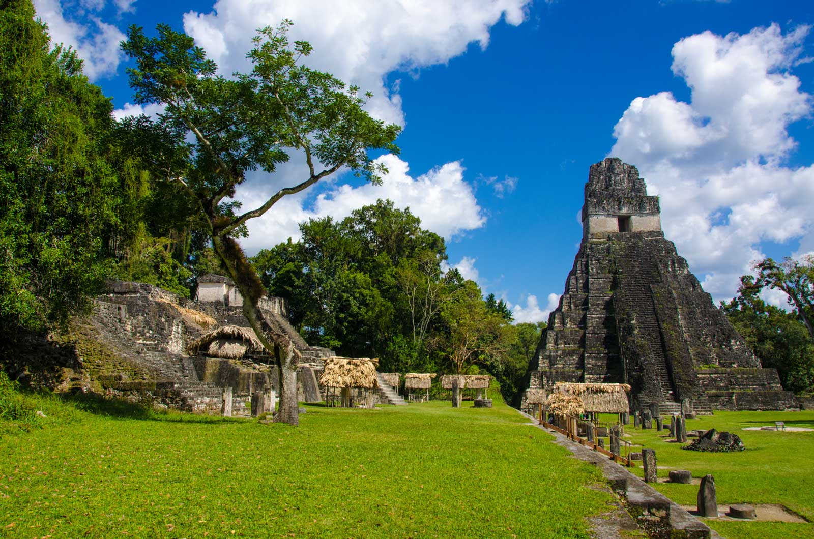 Best things to do in San Ignacio Belize Day Trip to Tikal